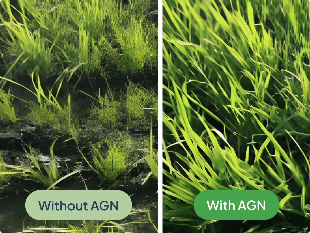 consistent-rice-yield-2