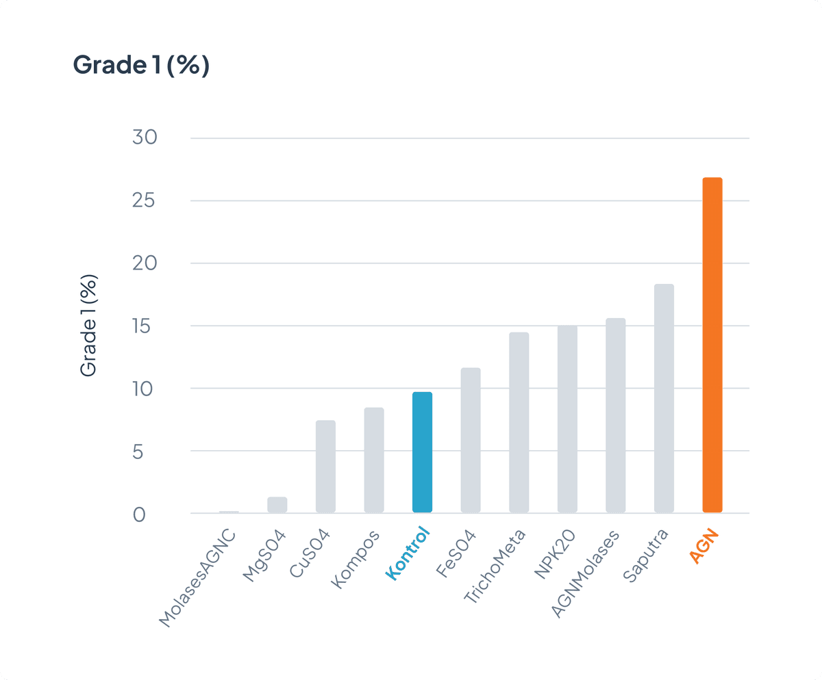 grade-1