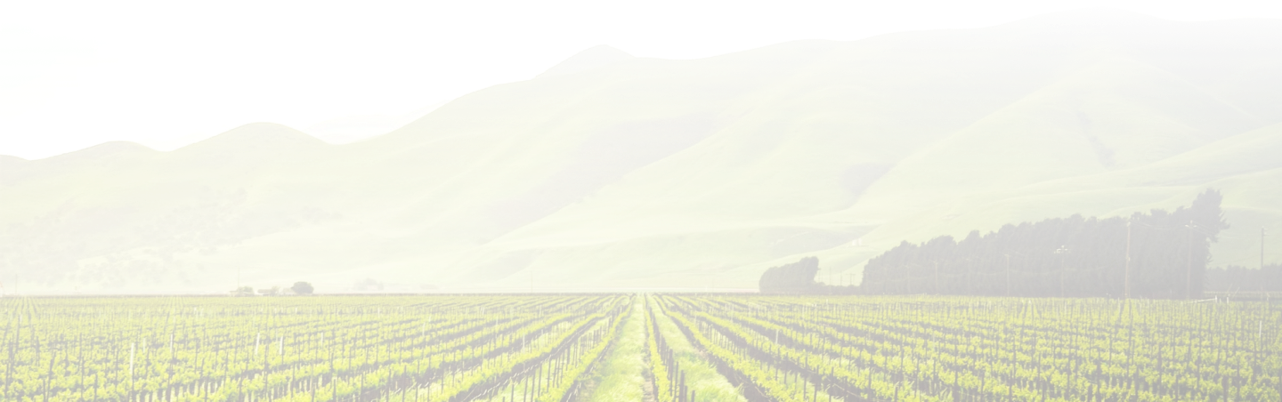 CTA-Backgrund