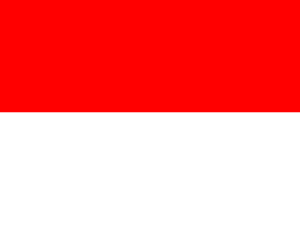 flag2