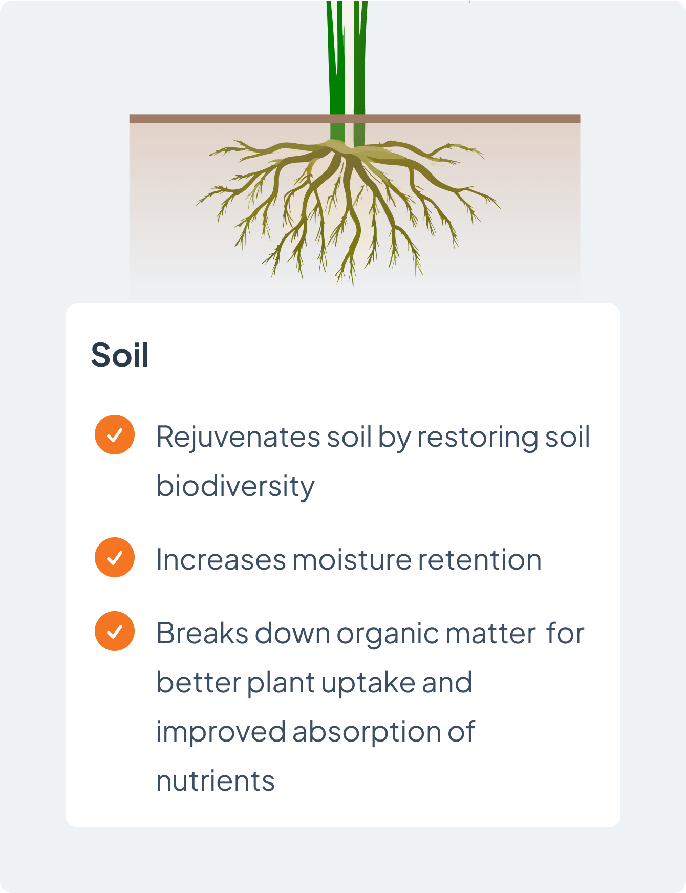 soil